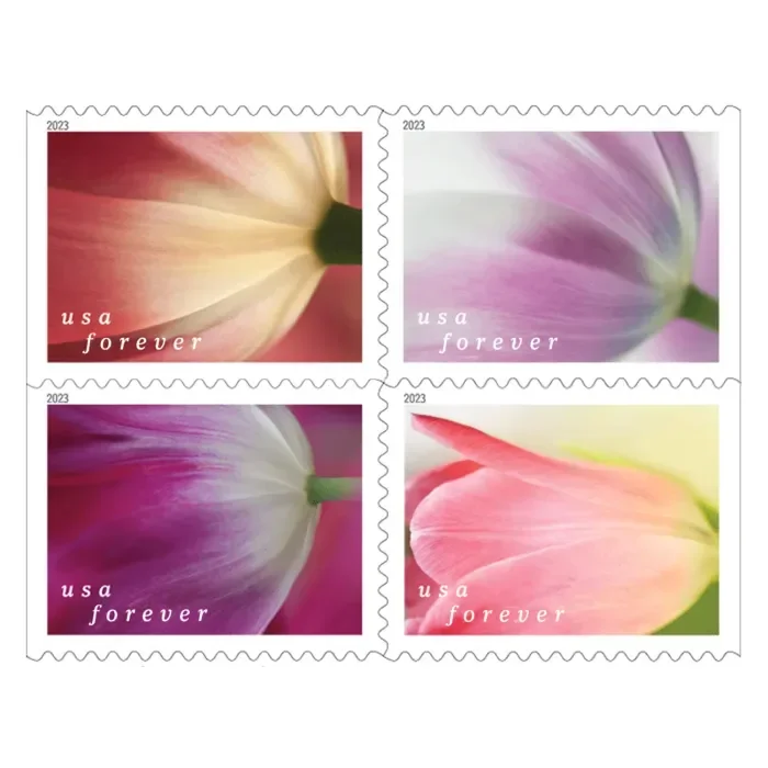 Hot Selling Stamp Blind Box, 500 PCS Big Sale, 5 Styles, 100 PCS Per Style | Tool Stamps US Postage Stamps