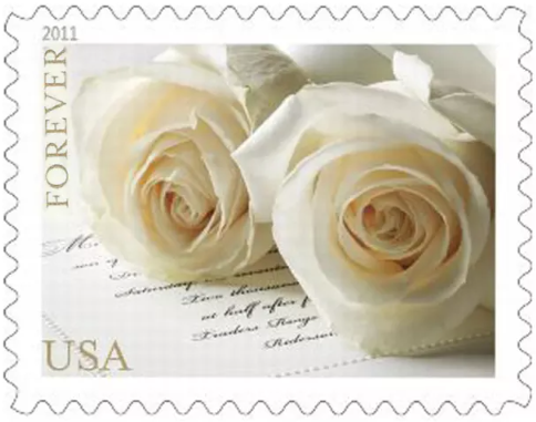 Hot Selling Stamp Blind Box, 500 PCS Big Sale, 5 Styles, 100 PCS Per Style | Tool Stamps US Postage Stamps
