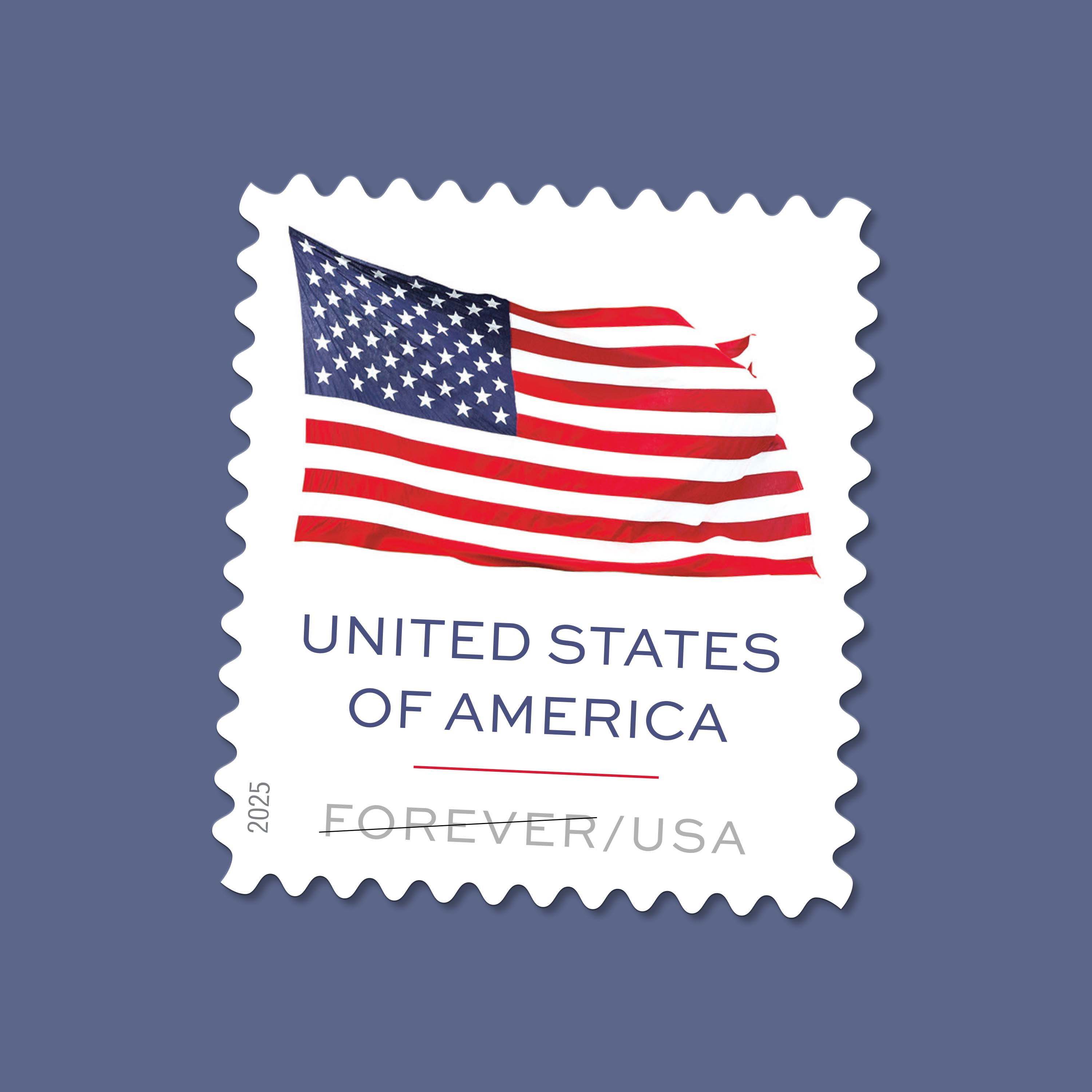 2025 U.S. Flag Stamps 10 rolls product photo by ToolStamps